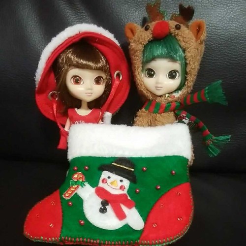 Little pullip carol - little,